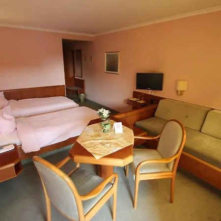 Ξενοδοχείο Am Kurpark Bad Wimpfen