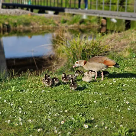 Am Kurpark 바트빔펜