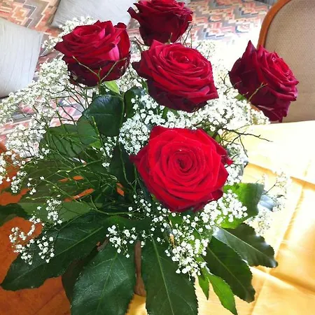 Am Kurpark Ξενοδοχείο Bad Wimpfen