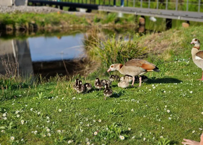 Am Kurpark Bad Wimpfen